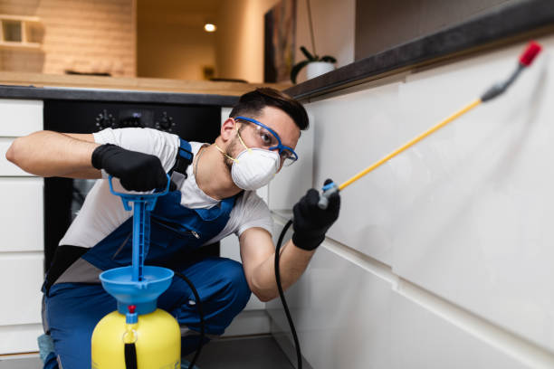 Best Pest Removal Services  in Quitman, MS