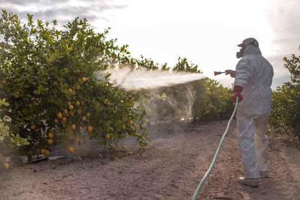 Professional Pest Control in Quitman, MS