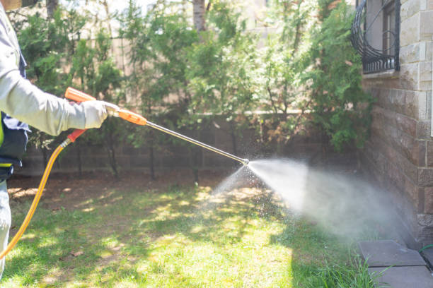 Best Bird Control  in Quitman, MS
