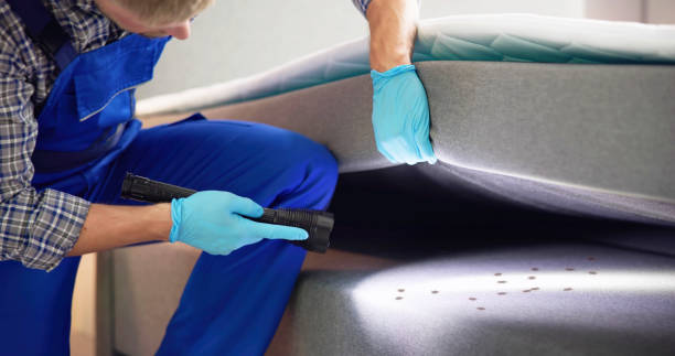 Best Affordable Pest Control Services  in Quitman, MS